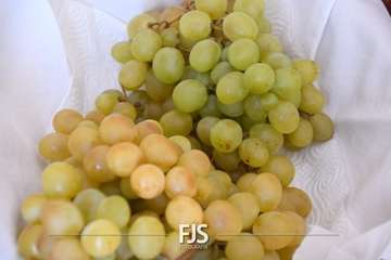 Misa y procesión religiosa en Cazadores/Francisco Javier Santana.